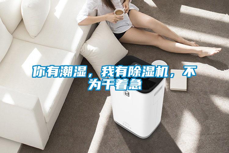 你有潮濕，我有除濕機，不為干著急