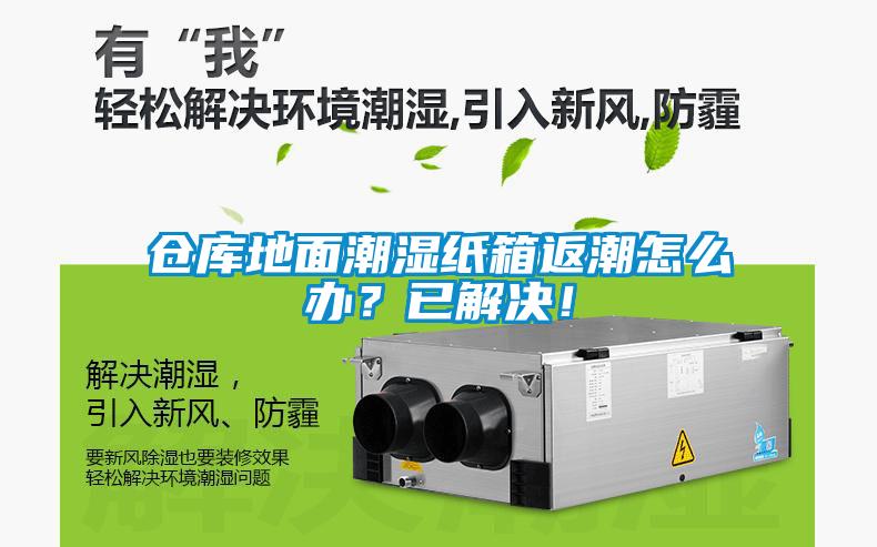 倉庫地面潮濕紙箱返潮怎么辦？已解決！