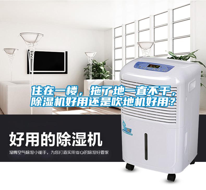 住在一樓，拖了地一直不干，除濕機好用還是吹地機好用？