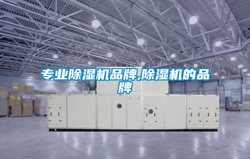 專業(yè)除濕機品牌,除濕機的品牌