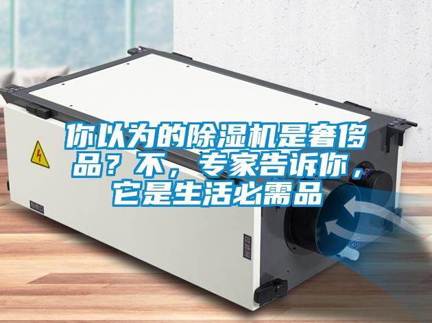 你以為的除濕機是奢侈品？不，專家告訴你，它是生活必需品