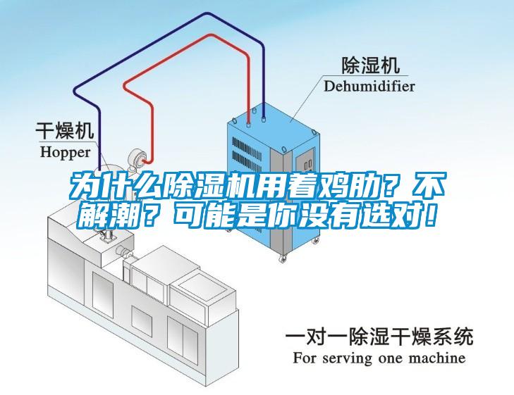 為什么除濕機用著雞肋？不解潮？可能是你沒有選對！