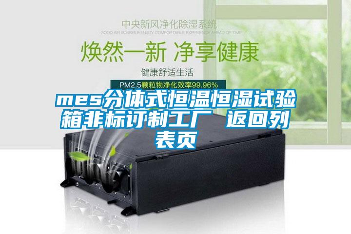 mes分體式恒溫恒濕試驗箱非標訂制工廠 返回列表頁