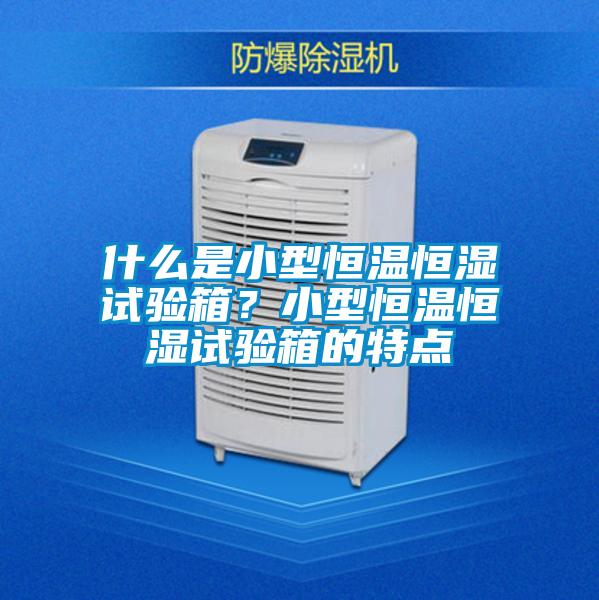 什么是小型恒溫恒濕試驗箱？小型恒溫恒濕試驗箱的特點