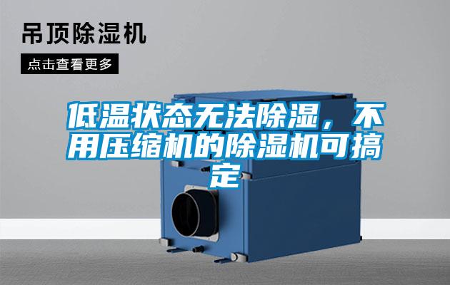 低溫狀態無法除濕，不用壓縮機的除濕機可搞定