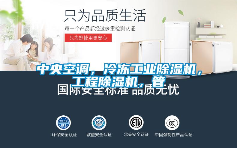 中央空調，冷凍工業(yè)除濕機，工程除濕機，管