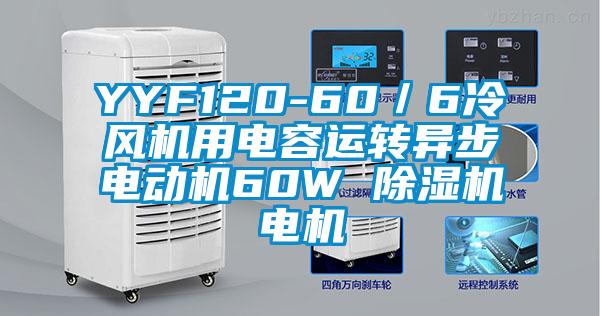 YYF120-60／6冷風(fēng)機用電容運轉(zhuǎn)異步電動機60W 除濕機電機