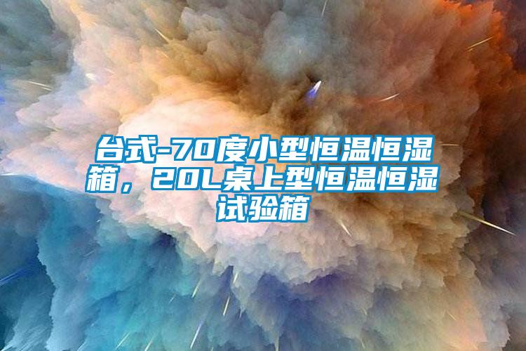 臺式-70度小型恒溫恒濕箱，20L桌上型恒溫恒濕試驗箱