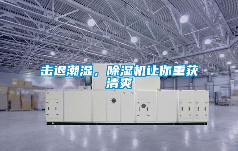 擊退潮濕，除濕機讓你重獲清爽
