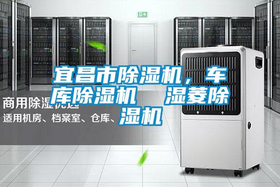 宜昌市除濕機，車庫除濕機  濕菱除濕機