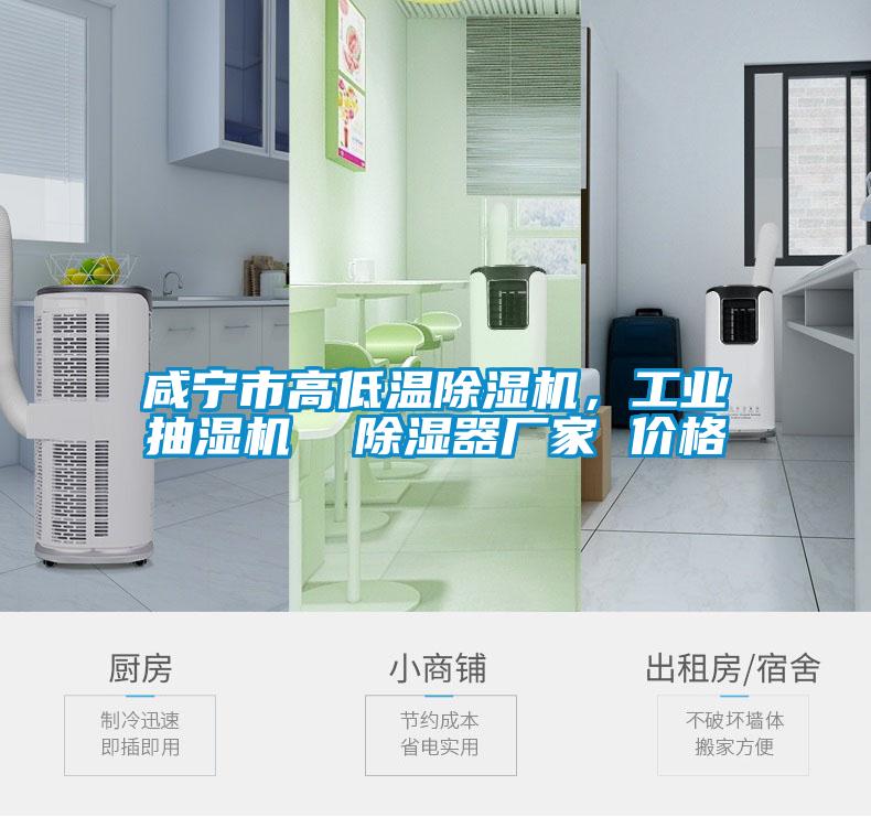 咸寧市高低溫除濕機(jī)，工業(yè)抽濕機(jī)  除濕器廠家 價(jià)格