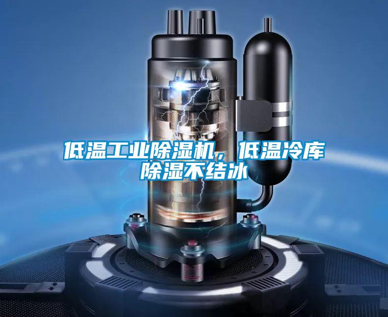 低溫工業除濕機，低溫冷庫除濕不結冰