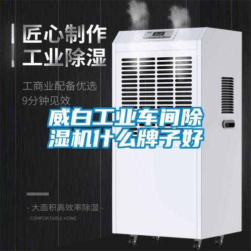 威白工業(yè)車(chē)間除濕機(jī)什么牌子好