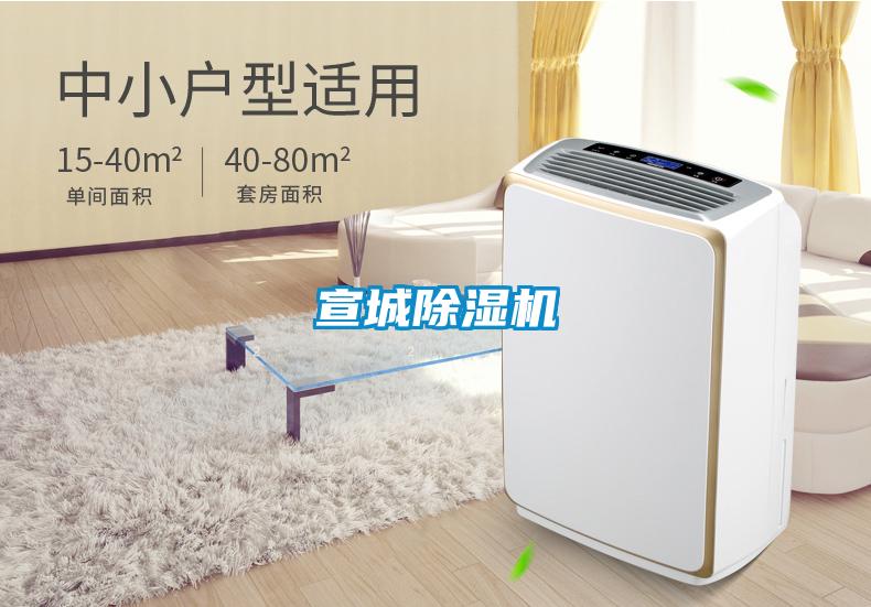 宣城除濕機