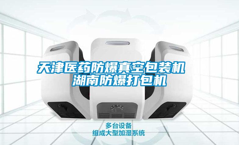 天津醫(yī)藥防爆真空包裝機  湖南防爆打包機