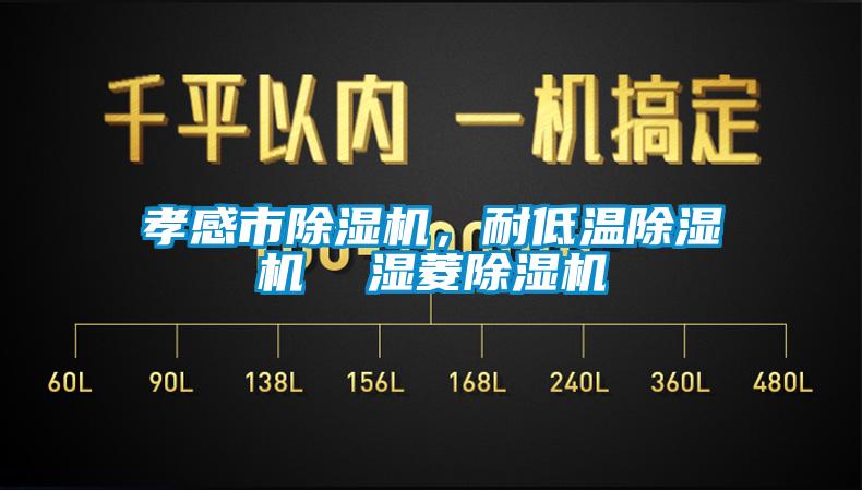 孝感市除濕機，耐低溫除濕機  濕菱除濕機