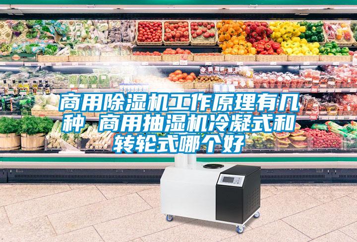 商用除濕機(jī)工作原理有幾種 商用抽濕機(jī)冷凝式和轉(zhuǎn)輪式哪個好
