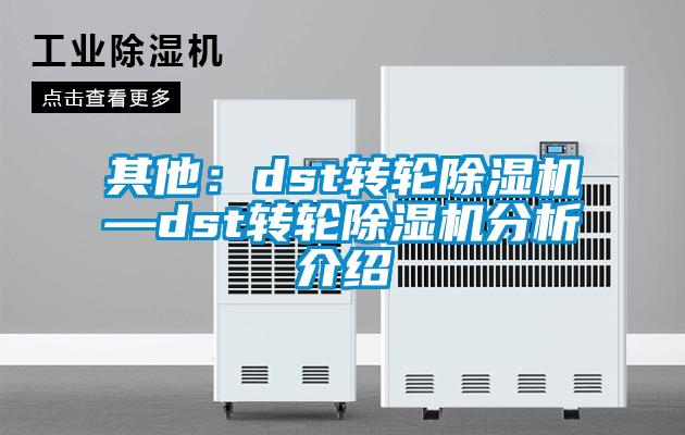 其他：dst轉(zhuǎn)輪除濕機—dst轉(zhuǎn)輪除濕機分析介紹