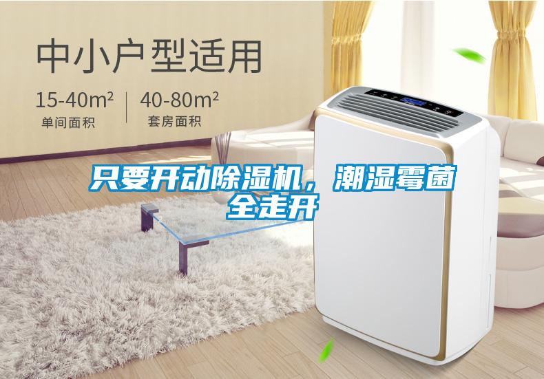 只要開動(dòng)除濕機(jī)，潮濕霉菌全走開