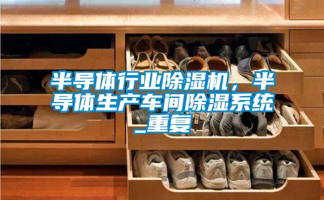 半導體行業除濕機，半導體生產車間除濕系統_重復