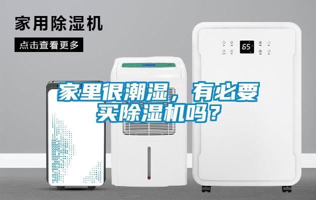 家里很潮濕，有必要買除濕機嗎？