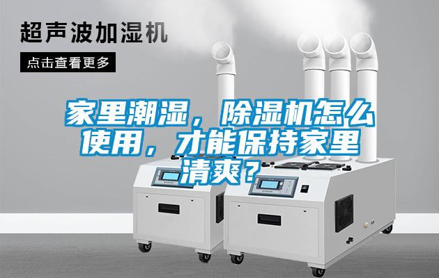 家里潮濕，除濕機(jī)怎么使用，才能保持家里清爽？