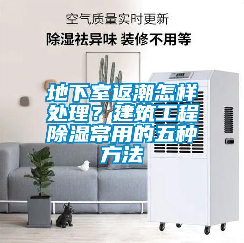 地下室返潮怎樣處理？建筑工程除濕常用的五種方法