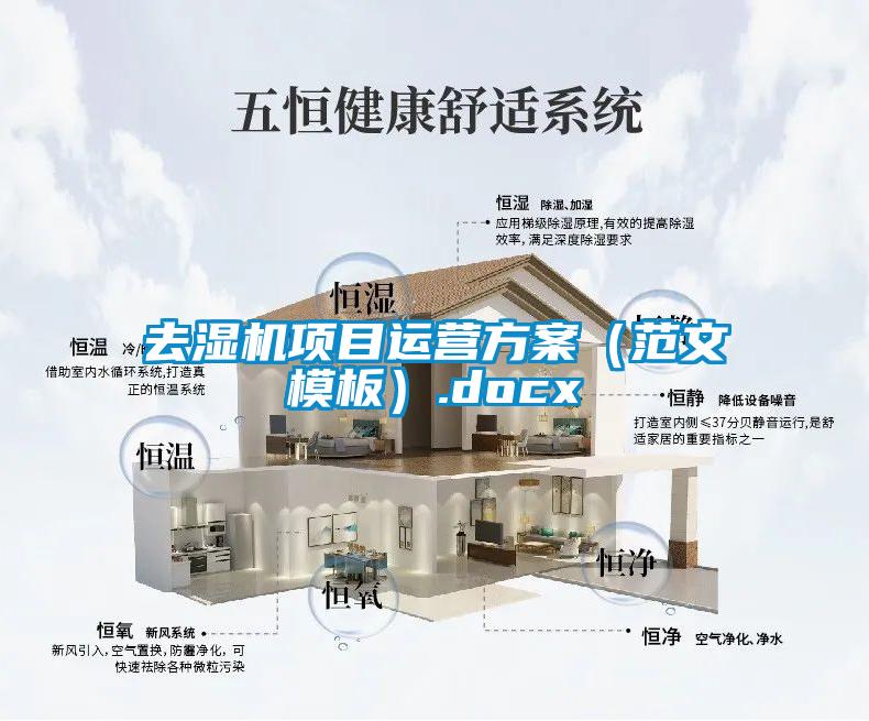 去濕機(jī)項(xiàng)目運(yùn)營方案（范文模板）.docx