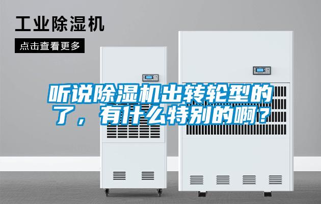 聽說除濕機出轉(zhuǎn)輪型的了，有什么特別的??？