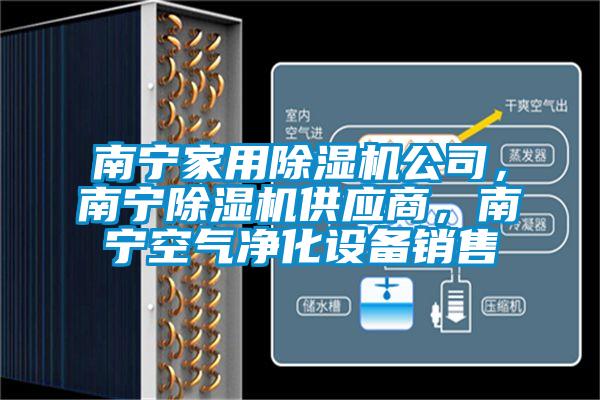 南寧家用除濕機公司，南寧除濕機供應(yīng)商，南寧空氣凈化設(shè)備銷售