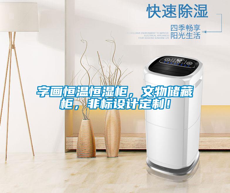 字畫恒溫恒濕柜，文物儲藏柜，非標設(shè)計定制！