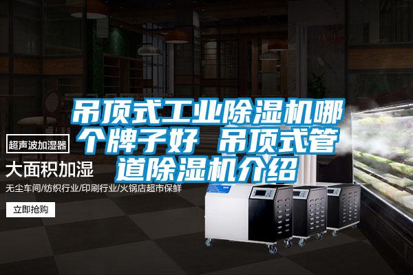 吊頂式工業除濕機哪個牌子好 吊頂式管道除濕機介紹