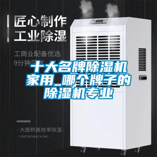 十大名牌除濕機(jī)家用_哪個牌子的除濕機(jī)專業(yè)