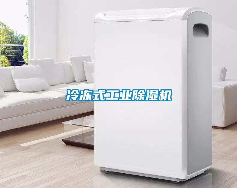 冷凍式工業除濕機