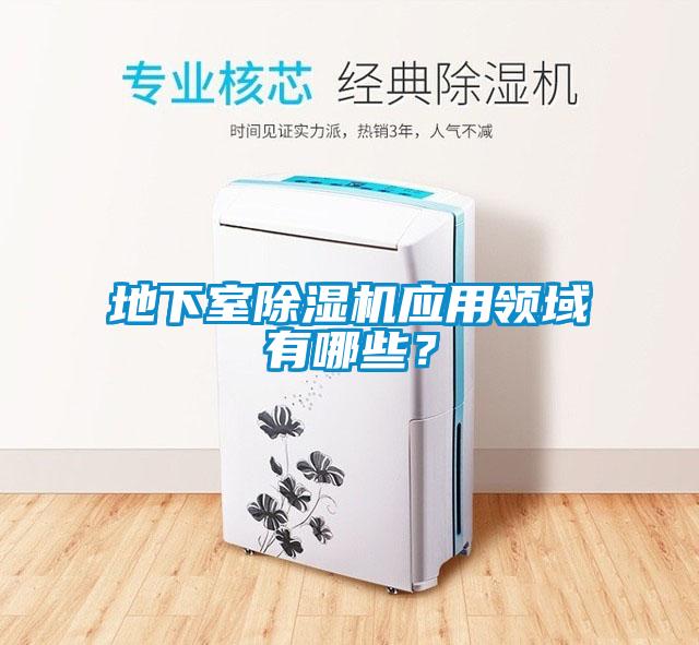 地下室除濕機應(yīng)用領(lǐng)域有哪些？