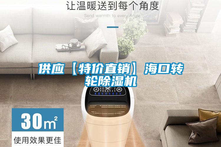供應(yīng)【特價直銷】海口轉(zhuǎn)輪除濕機