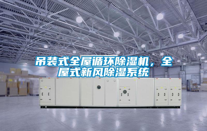吊裝式全屋循環除濕機，全屋式新風除濕系統