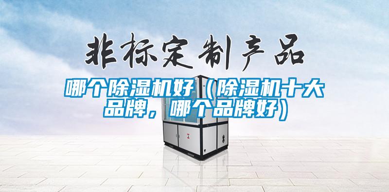 哪個除濕機好（除濕機十大品牌，哪個品牌好）