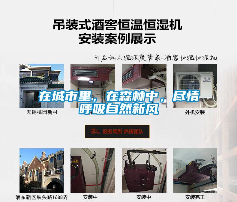 在城市里，在森林中，盡情呼吸自然新風