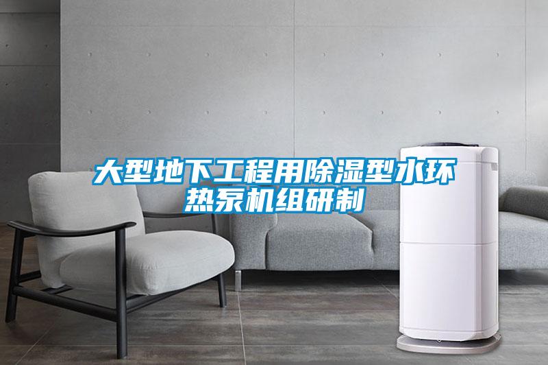 大型地下工程用除濕型水環熱泵機組研制