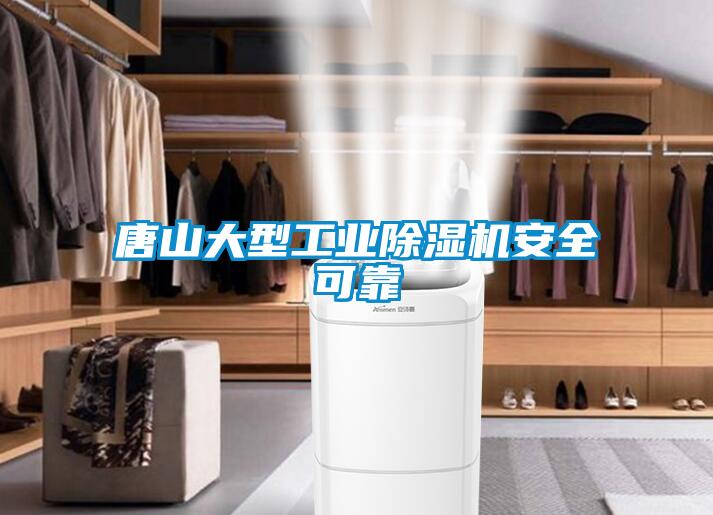 唐山大型工業(yè)除濕機安全可靠