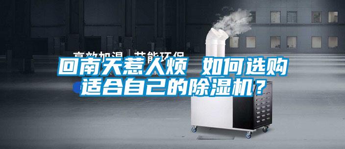 回南天惹人煩 如何選購(gòu)適合自己的除濕機(jī)？