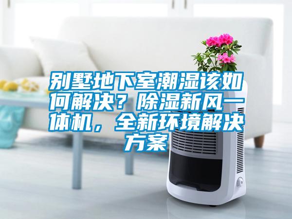 別墅地下室潮濕該如何解決？除濕新風(fēng)一體機(jī)，全新環(huán)境解決方案