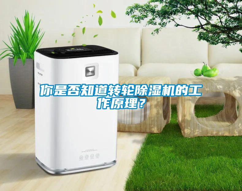你是否知道轉輪除濕機的工作原理？