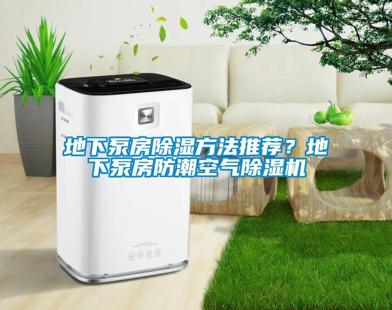 地下泵房除濕方法推薦？地下泵房防潮空氣除濕機(jī)