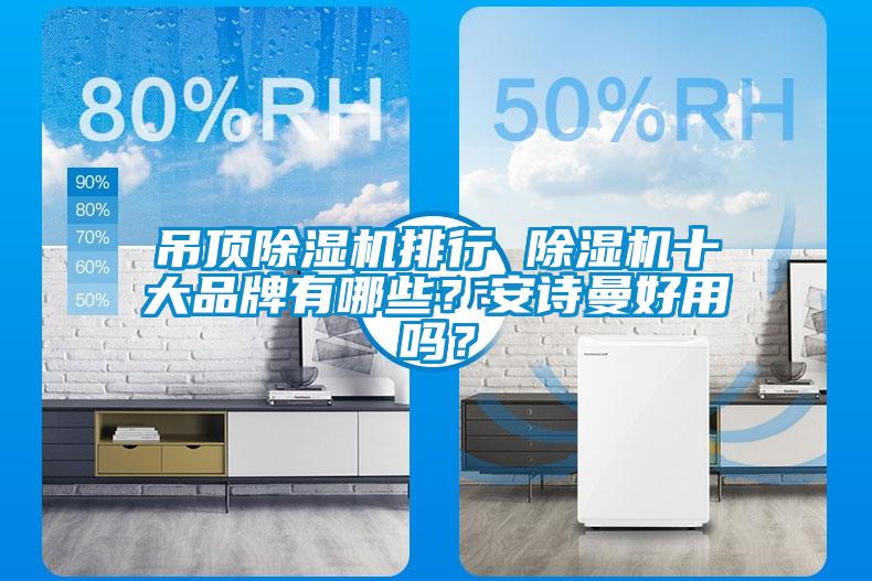 吊頂除濕機排行 除濕機十大品牌有哪些？安詩曼好用嗎？