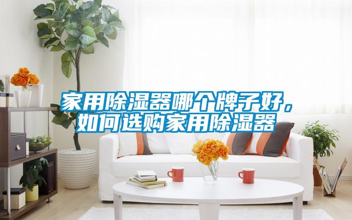 家用除濕器哪個牌子好，如何選購家用除濕器