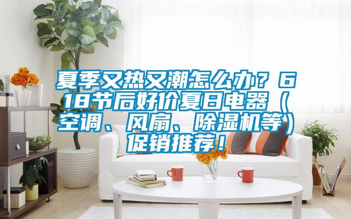 夏季又熱又潮怎么辦？618節(jié)后好價夏日電器（空調、風扇、除濕機等）促銷推薦！