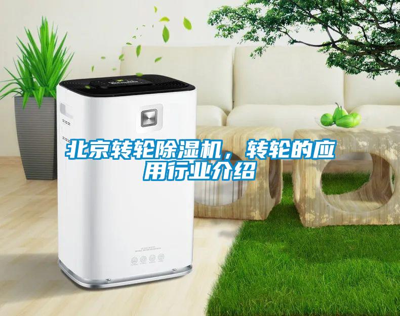 北京轉(zhuǎn)輪除濕機，轉(zhuǎn)輪的應(yīng)用行業(yè)介紹