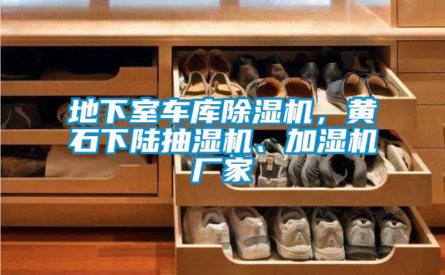 地下室車庫除濕機，黃石下陸抽濕機、加濕機廠家